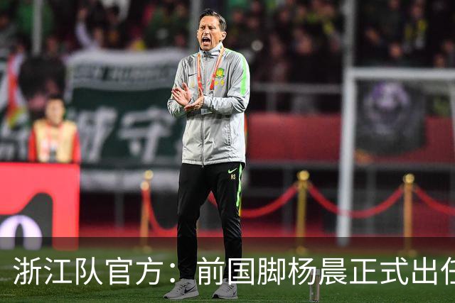 浙江队官方：前国脚杨晨正式出任俱乐部总经理